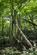 Additional image 8 of Coed Euryn (2 and three quarter acres), Mochdre, Colwyn Bay, Conwy LL28