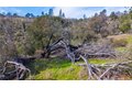 Additional image 40 of 2320 Painted Pony Rd, Somerset, CA, 95684