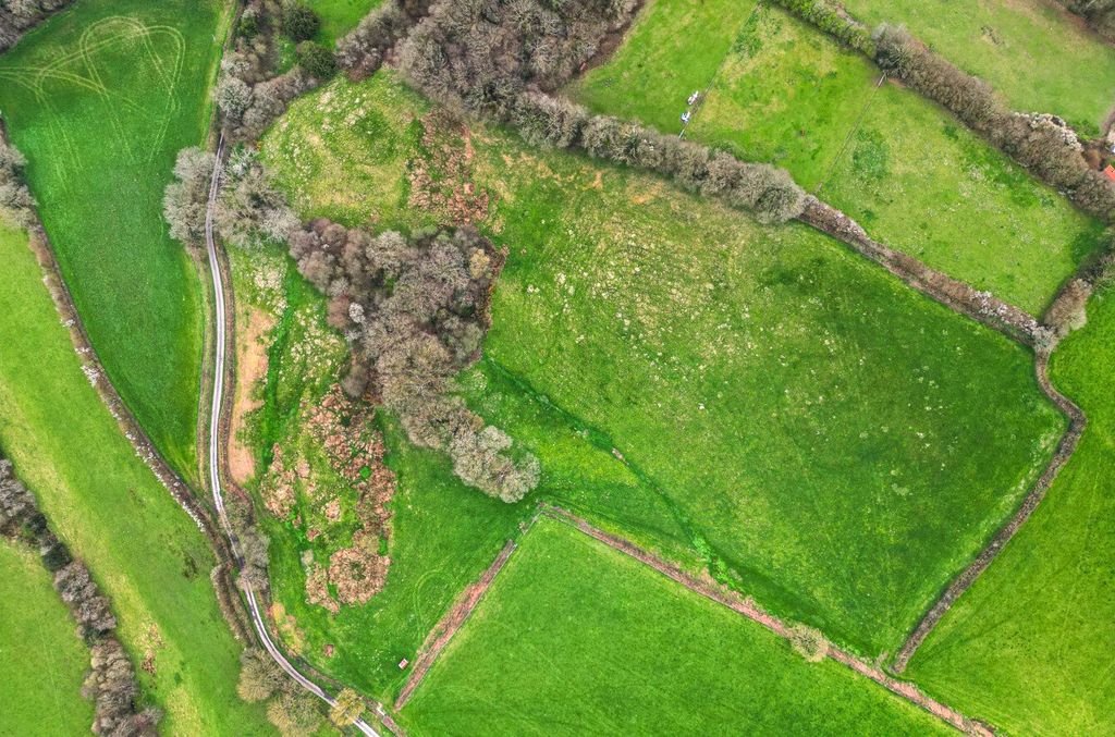 Additional image 3 of Land for saleHollocombe, Chulmleigh, Devon EX18