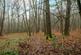 Additional image 5 of Petworth Road, Godalming GU8
