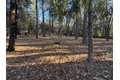 Additional image 30 of 75 Sandy Gulch Ln, West Point, CA, 95255