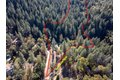 Additional image 37 of 1610 Swansboro Rd, Placerville, CA, 95667