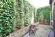 Additional image 5 of Palatine Road, London, N16