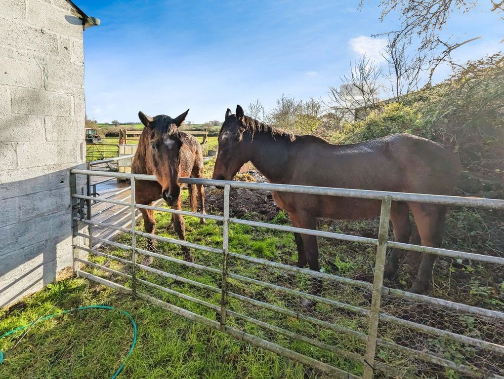 Additional image 38 of 4 bed country house for saleWernrheolydd, Usk NP15