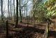 Additional image 42 of Holme View, Warwick Bridge, Carlisle, CA4