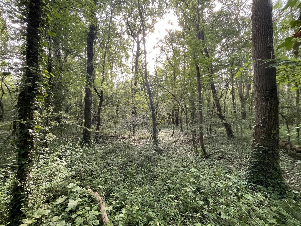 Additional image 5 of Land for saleLongburton, Sherborne, Dorset DT9