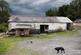 Additional image 51 of Ffarmers, Llanwrda, SA19