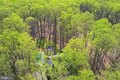 Additional image 104 of 11843 Linden Chapel Rd, Clarksville, MD, 21029