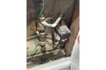 Additional image 18 of 17128 103rd Rd, Jamaica, NY, 11433