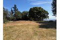 Additional image 5 of 7175 Redwood Retreat Rd, Gilroy, CA, 95020