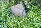 Additional image 2 of Llanbadarn Fawr SY23