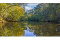 Additional image 40 of 12 Bishop Park Rd, Pound Ridge, NY, 10576