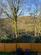 Additional image 26 of Alden Close, Helmshore, Rossendale, BB4
