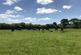 Additional image 2 of Lower End Town Farm, Lampeter Velfrey, Narberth, Pembrokeshire, SA67