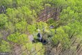 Additional image 105 of 11843 Linden Chapel Rd, Clarksville, MD, 21029