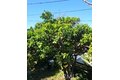 Additional image 30 of 3320 Reynolds Ave, Los Angeles, CA, 90032