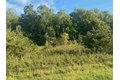 Additional image 2 of 49 Sugarcreek Trl, Galena, IL, 61036