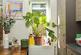 Additional image 11 of Geldeston Road, London E5