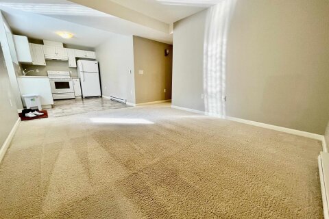 Additional image 7 of Basement-790 211b Street, Langley, BC, V2Y 0H3
