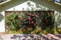 Additional image 30 of 800 Loyola Dr, Los Altos, CA, 94024