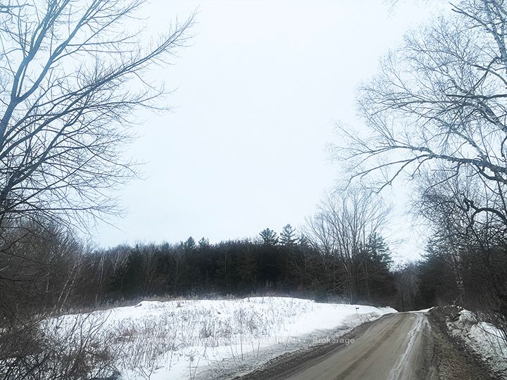 430 Beaver Road, Trent Hills, ON, K0K 1L0