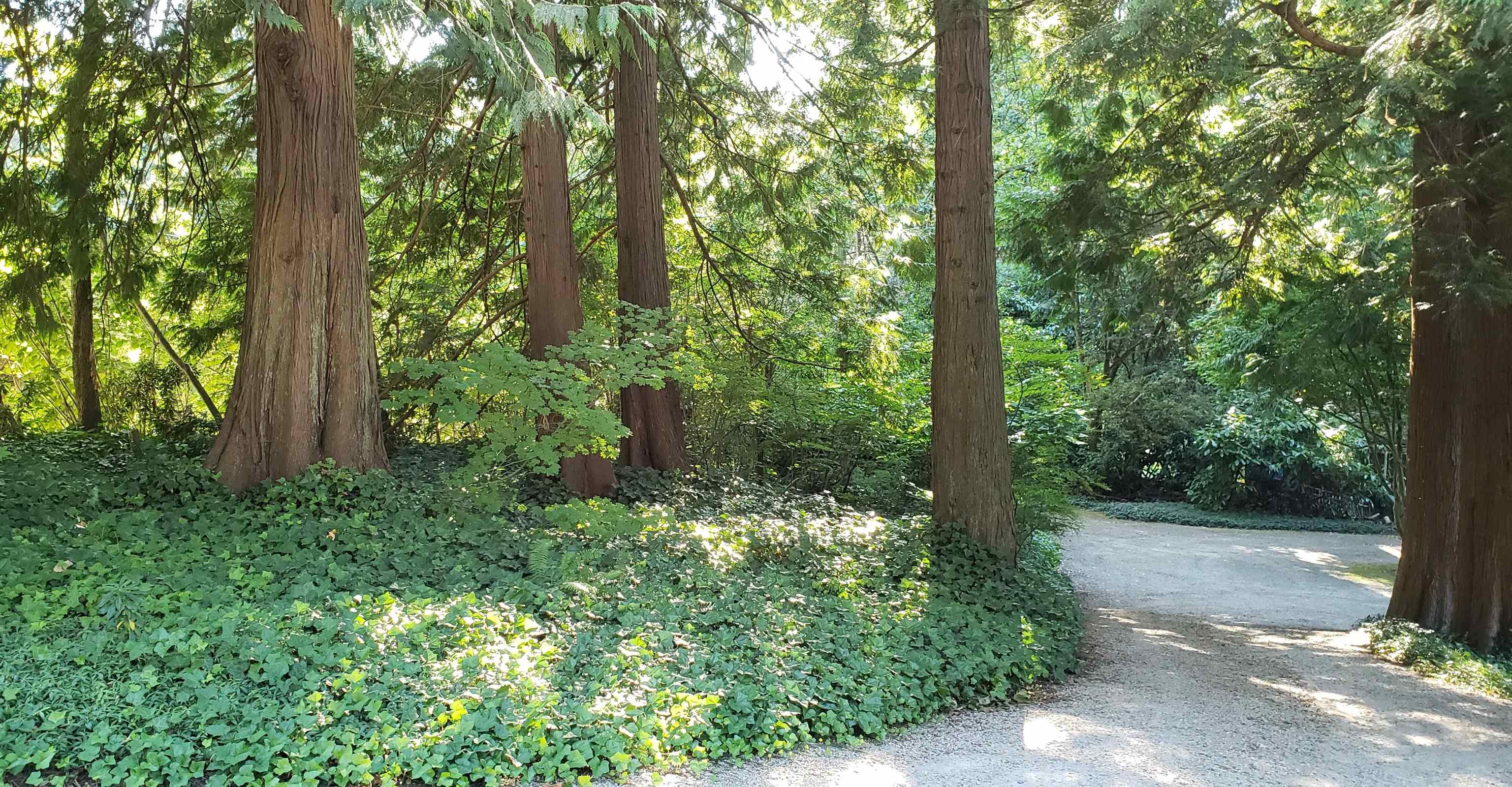 Additional image 5 of 12581 Crescent Road, Surrey, BC, V4A 2V4