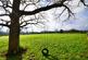 Additional image 24 of South Godstone, Godstone, Surrey, RH9