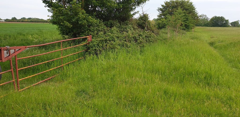 Additional image 13 of Land for saleCommon Road, Diss IP21