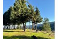Additional image 9 of 7175 Redwood Retreat Rd, Gilroy, CA, 95020