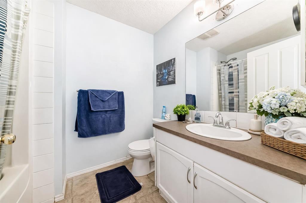 Additional image 5 of 115 Saddlebrook Point NE, Calgary, AB, T3J 0K3