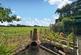 Additional image 38 of Cedarway, Gayton, CH60