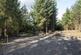 Additional image 15 of Coed Y Glog (over 4 acres), Llanfyllin, Powys SY22