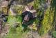 Additional image 31 of Bicknacre Road, Danbury