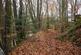 Additional image 15 of Coed Y Mwyn (just under 13 acres), Rhydymwyn, Mold, Flintshire CH7