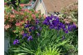 Additional image 31 of 28 Jane St, Roslyn Heights, NY, 11577