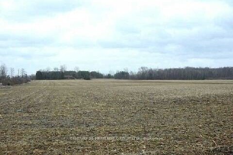 Additional image 4 of 3329 11 Line, Bradford West Gwillimbury, ON, L3Z 3N5