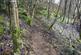 Additional image 8 of Coed Gwy (about 6 and a quarter acres), Llangurig, Powys SY18