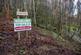 Coed Gwy (about 6 and a quarter acres), Llangurig, Powys SY18