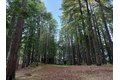 Additional image 22 of 7175 Redwood Retreat Rd, Gilroy, CA, 95020