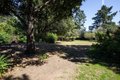 Additional image 34 of 800 Loyola Dr, Los Altos, CA, 94024
