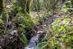 Additional image 2 of Coed Nant Y Beiglo (about 4 and a third acres), Llanfyllin, Powys SY22