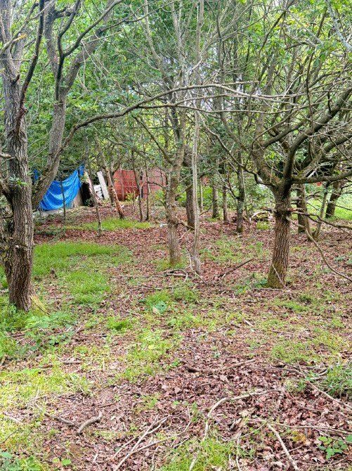 Additional image 5 of Land for saleRowley Lane, Arkley, Hertfordshire EN5
