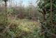 Haulton Wood (about 2 and three quarter acres), Bronington, Wrexham SY13