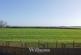 Additional image 38 of Main Road, Maltby Le Marsh, Alford