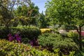 Additional image 5 of 800 Loyola Dr, Los Altos, CA, 94024