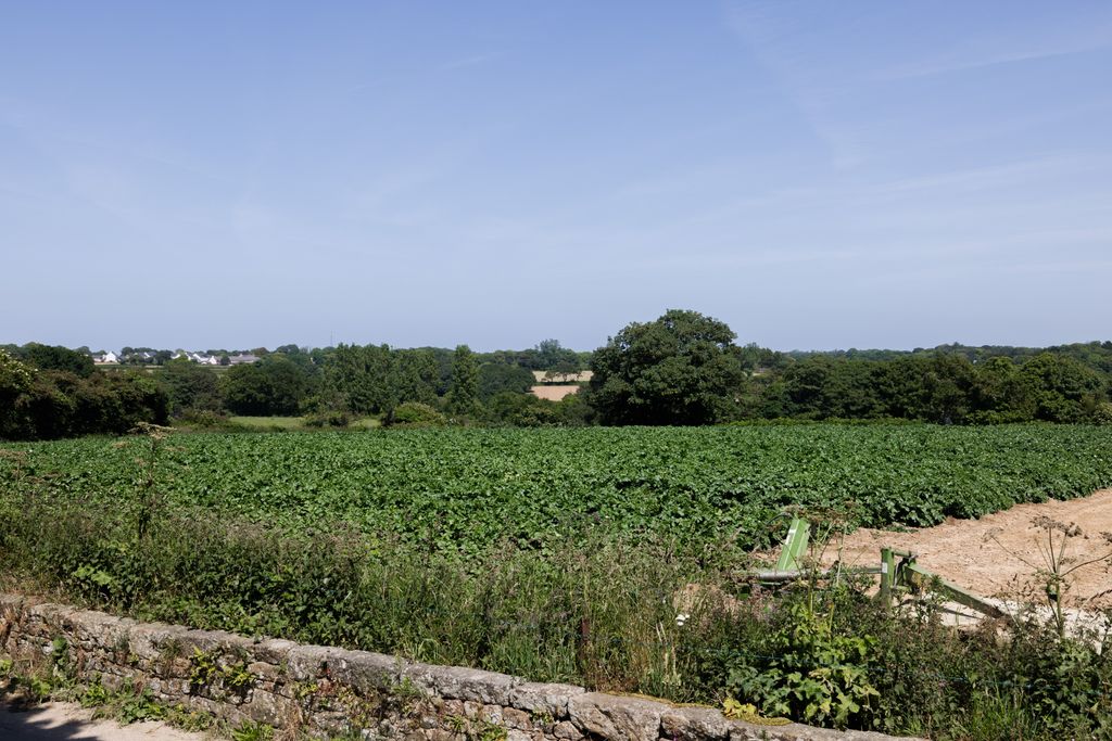 Additional image 2 of 4 bed detached house for saleLa Rue Des Sillons, St. Peter, Jersey JE3