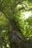 Additional image 9 of Coed Euryn (2 and three quarter acres), Mochdre, Colwyn Bay, Conwy LL28
