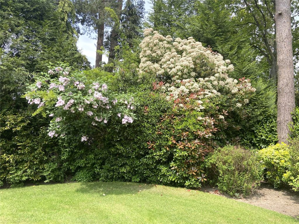 Additional image 5 of Land for saleWest Drive, Virginia Water, Surrey GU25
