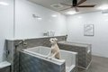 Additional image 40 of 415 E Taylor St, San Jose, CA, 95112