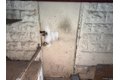 Additional image 15 of 124-12 7th Ave, College Point, NY, 11356